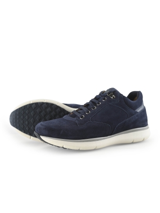Greve Sneakers