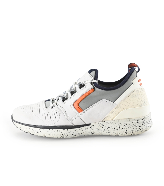 Greve Sneakers