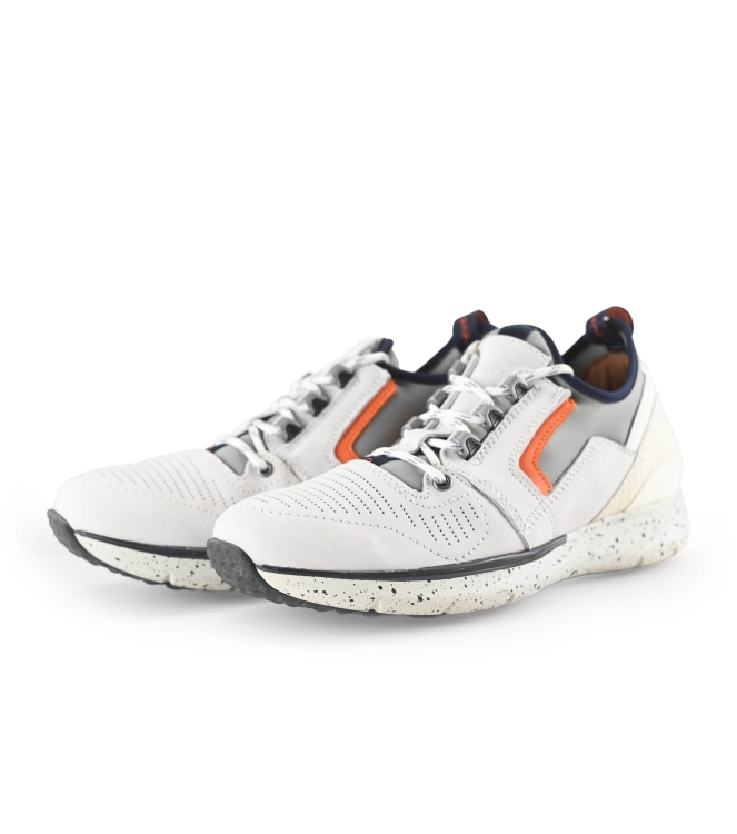 Greve Sneakers