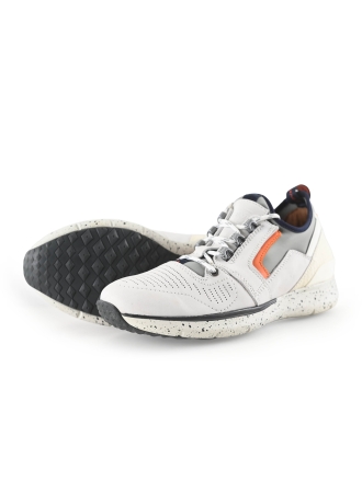 Greve Sneakers