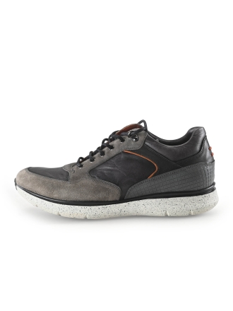 Greve Sneakers