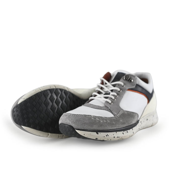 Greve Sneakers