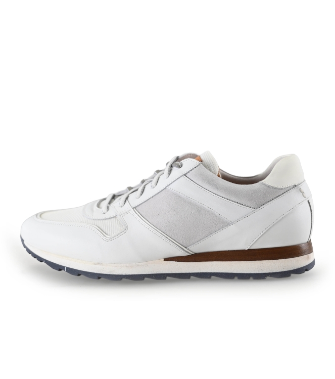 Greve Sneakers