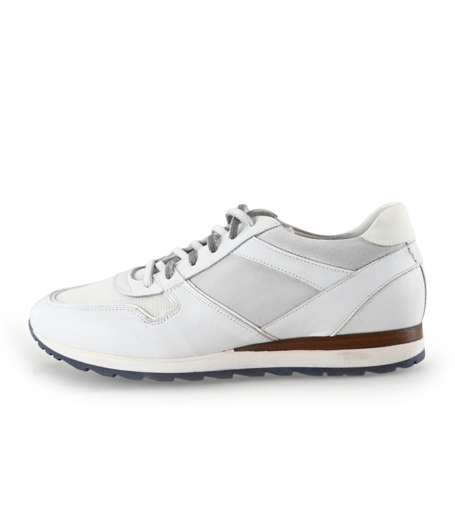 Greve Sneakers