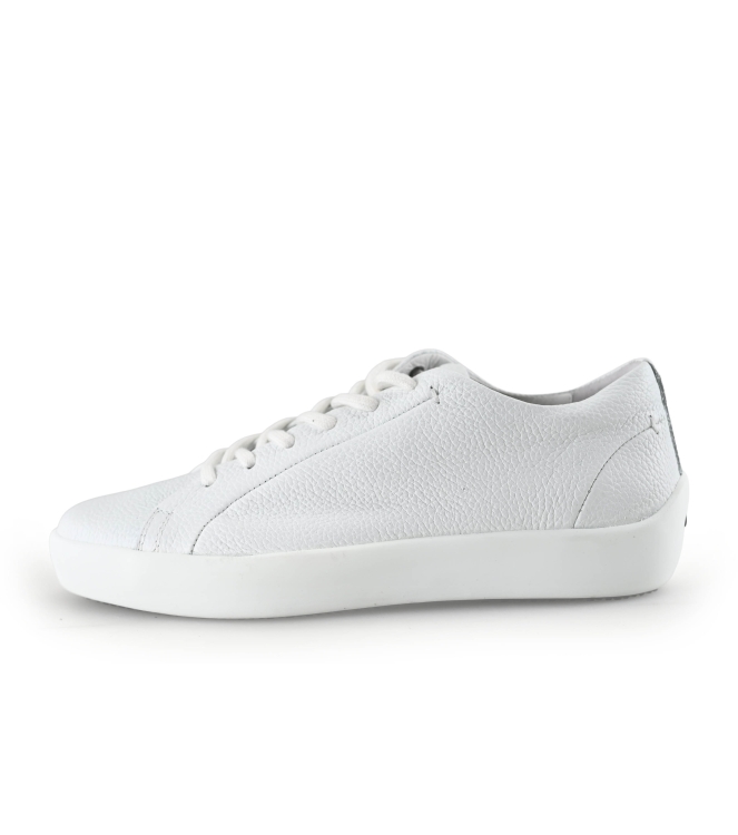 Greve Sneakers
