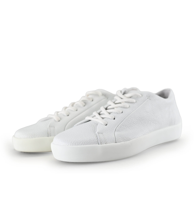 Greve Sneakers
