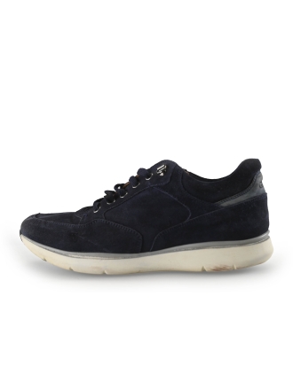 Greve Sneakers Blauw 269883