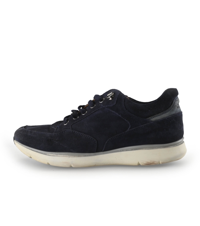 Greve Sneakers