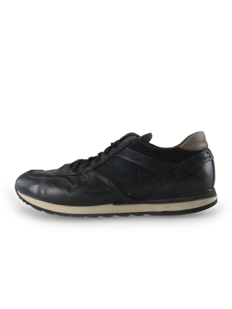 Greve Sneakers Blauw 269886