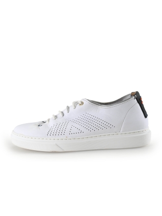 Greve Sneakers Wit 269888