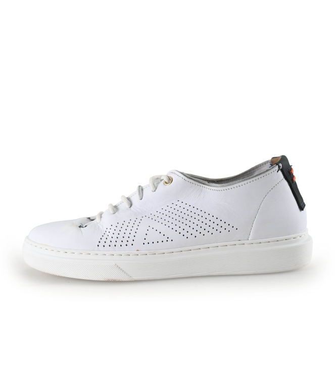 Greve Sneakers