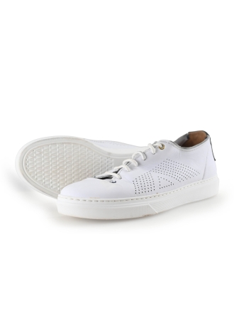 Greve Sneakers