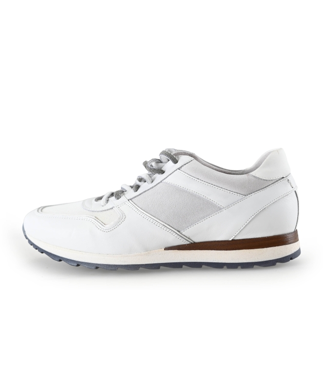Greve Sneakers