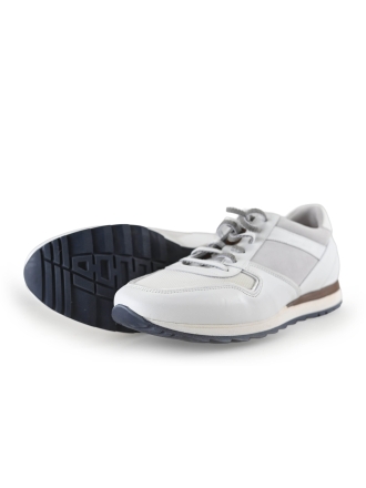 Greve Sneakers