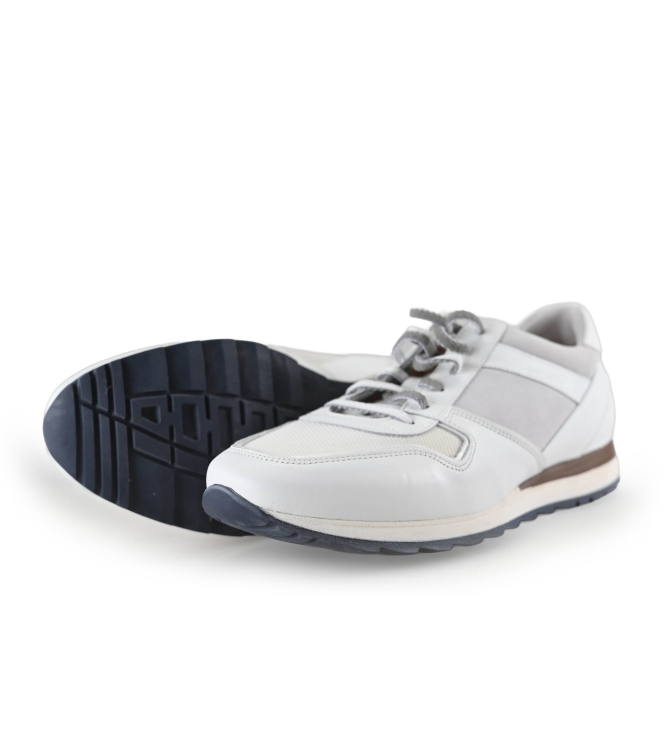 Greve Sneakers