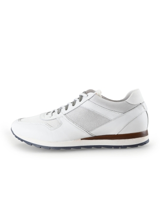 Greve Sneakers Wit 269908