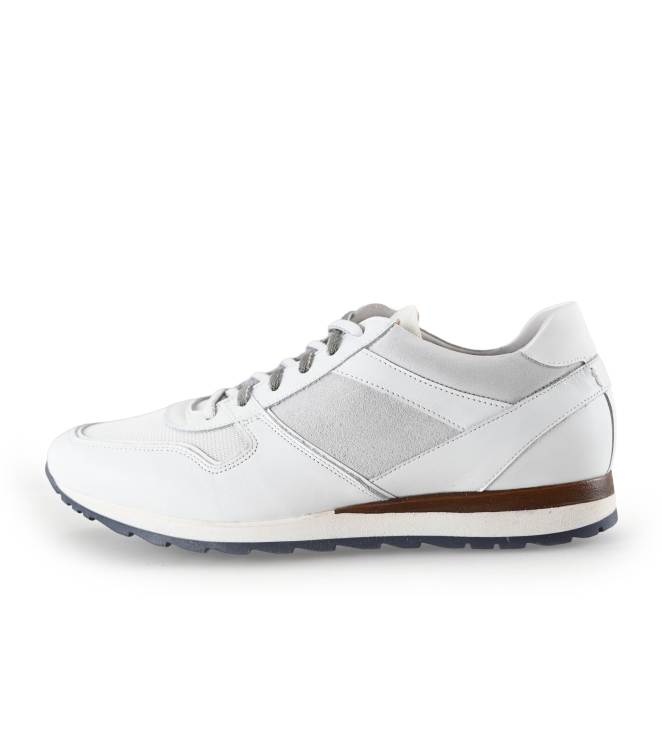 Greve Sneakers