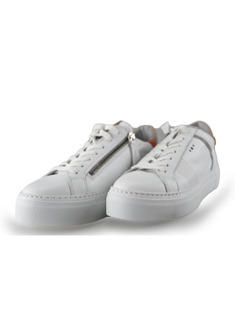 AQA Sneakers