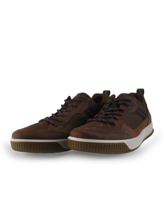 Ecco Sneakers