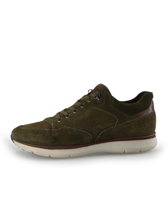 Greve Sneakers