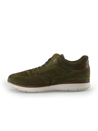 Greve Sneakers