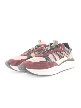Poelman Sneakers