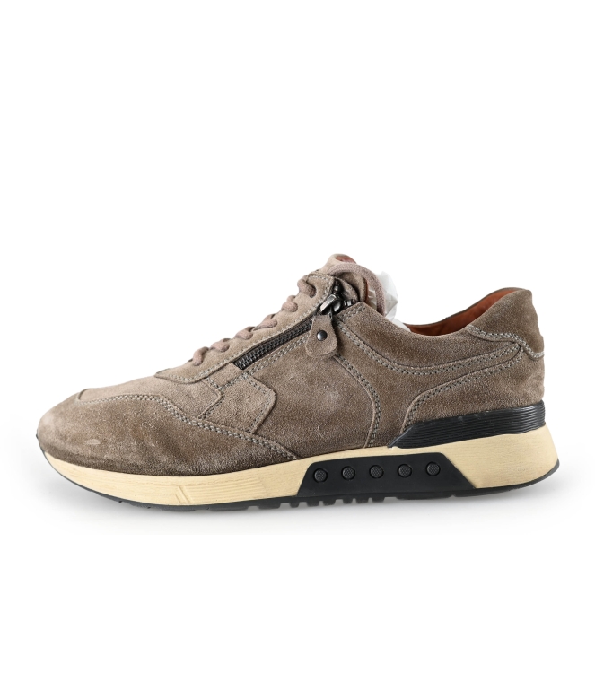 Greve Sneakers