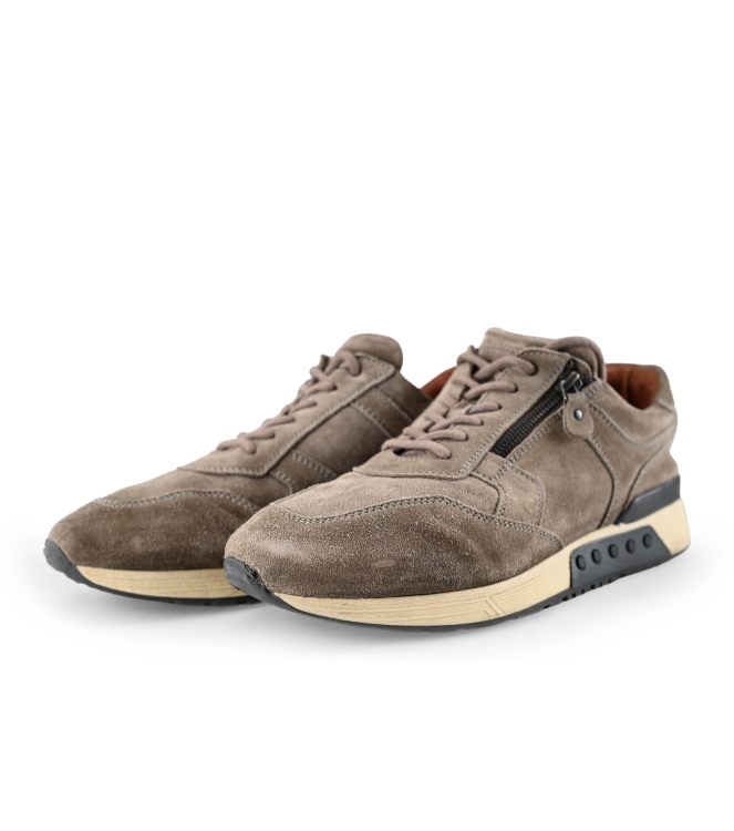 Greve Sneakers