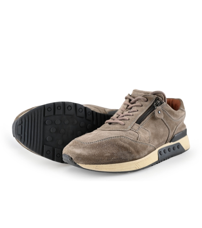 Greve Sneakers