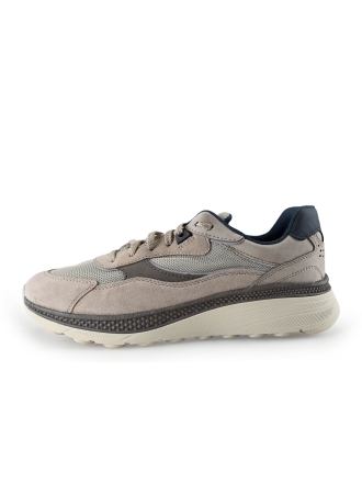 Geox Sneakers