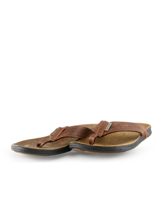 Reef Slippers Bruin 281103