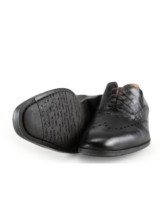 Reinhard Frans Veterschoenen