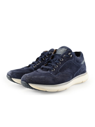 Greve Sneakers