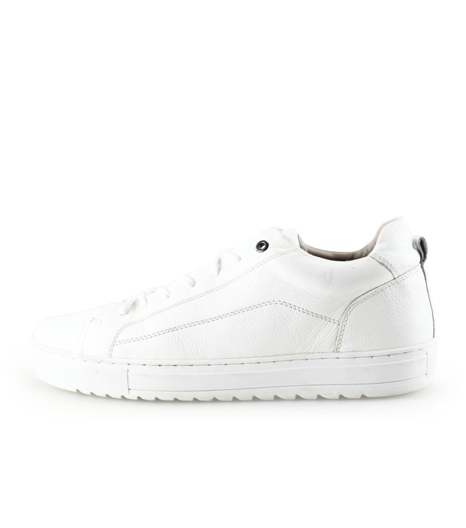 Nelson Sneakers