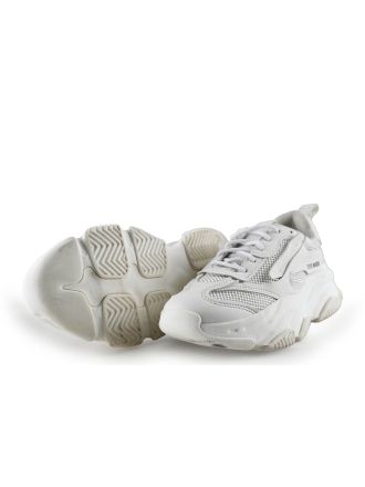 Steve Madden Sneakers