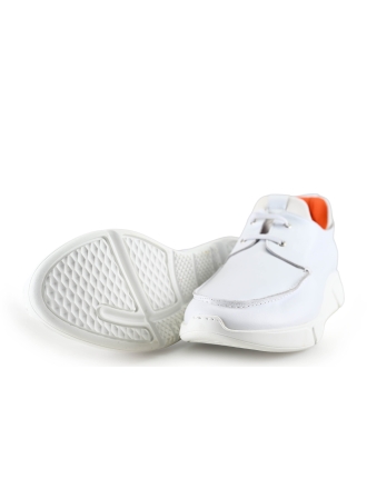 Reinhard Frans Sneakers