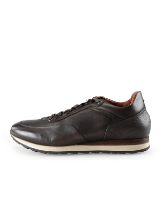 Greve Sneakers Bruin 283011
