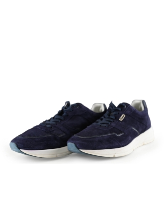 Greve Sneakers