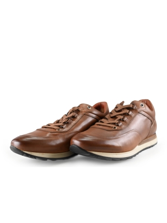 Greve Sneakers