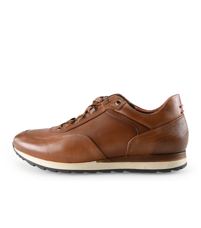 Greve Sneakers