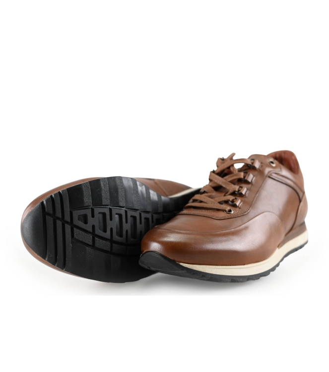 Greve Sneakers