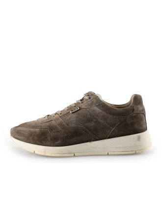 Greve Sneakers