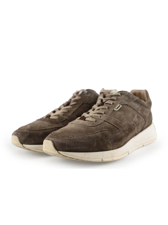 Greve Sneakers