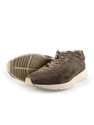 Greve Sneakers