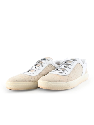 Greve Sneakers Beige 283260