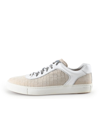 Greve Sneakers