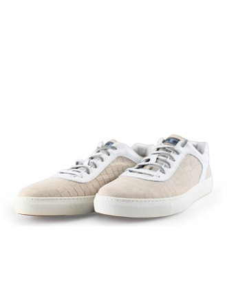 Greve Sneakers