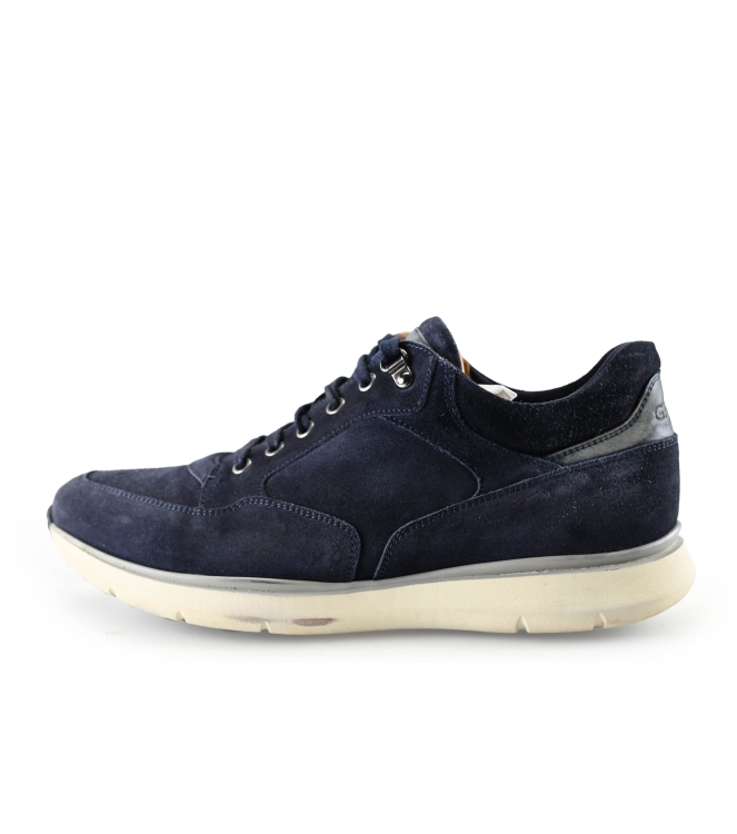 Greve Sneakers
