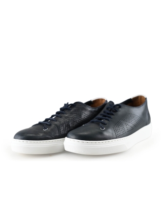 Greve Sneakers