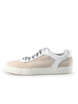 Greve Sneakers